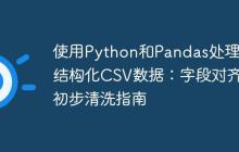 使用Python和Pandas处理非结构化CSV数据：字段对齐与初步清洗指南