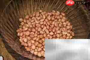 花生米配酒，绝配小食