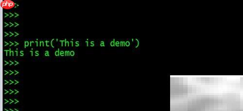 Python print高级技巧
