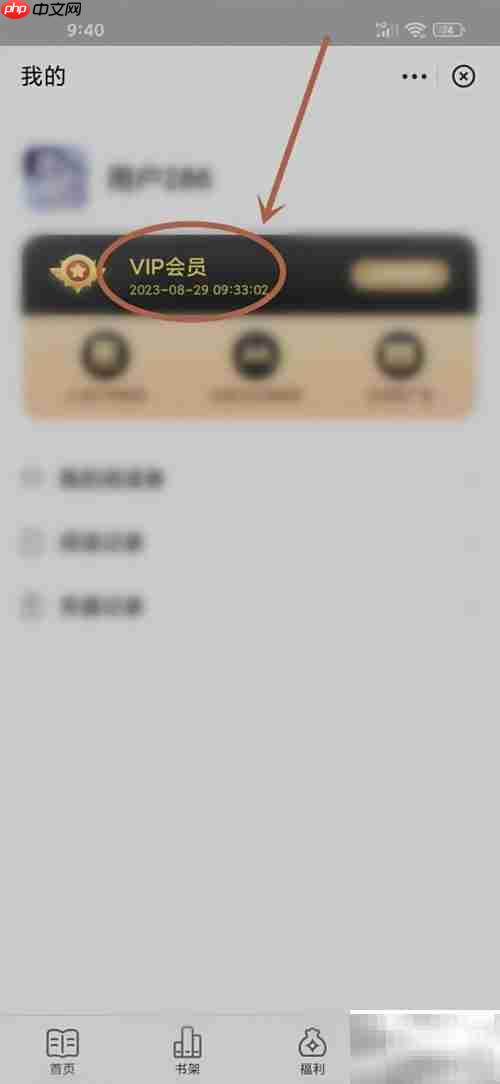 阿里云盘小说会员到期查询