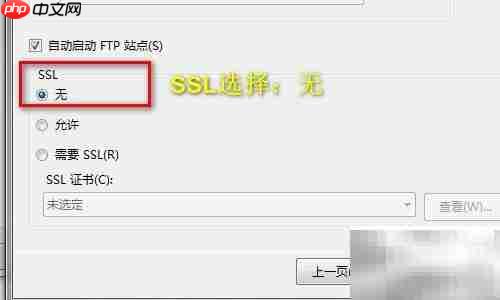 Windows搭建FTP服务指南