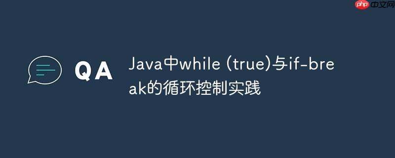 Java中while (true)与if-break的循环控制实践