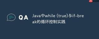 Java中while (true)与if-break的循环控制实践