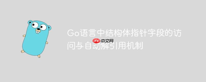 Go语言中结构体指针字段的访问与自动解引用机制