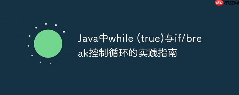 Java中while (true)与if/break控制循环的实践指南