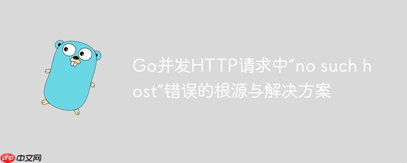 Go并发HTTP请求中“no such host”错误的根源与解决方案