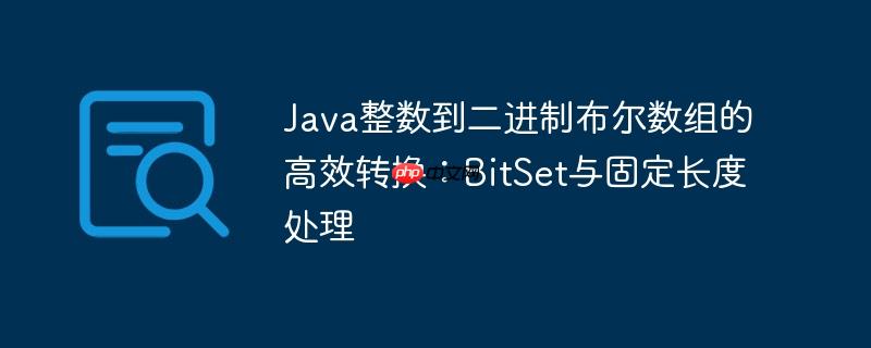 Java整数到二进制布尔数组的高效转换:BitSet与固定长度处理