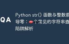 Python str() 函数与整数前导零：一个常见的字符串查找陷阱解析