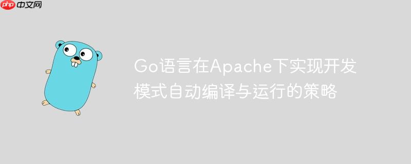 Go语言在Apache下实现开发模式自动编译与运行的策略