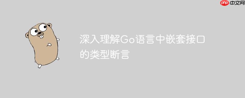 深入理解Go语言中嵌套接口的类型断言
