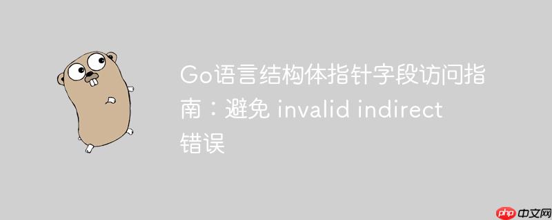 go语言结构体指针字段访问指南：避免 invalid indirect 错误