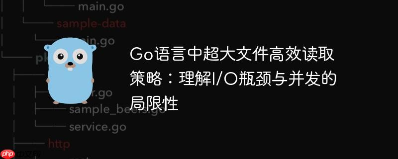 Go语言中超大文件高效读取策略:理解I/O瓶颈与并发的局限性
