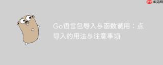 Go语言包导入与函数调用：点导入的用法与注意事项