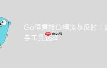 Go语言接口模拟与反射：实践与工具选择