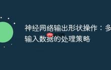 神经网络输出形状操作：多维输入数据的处理策略