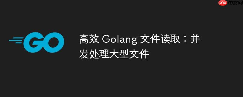 高效 golang 文件读取：并发处理大型文件
