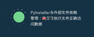 PyInstaller与外部文件依赖管理：确保可执行文件正确访问数据