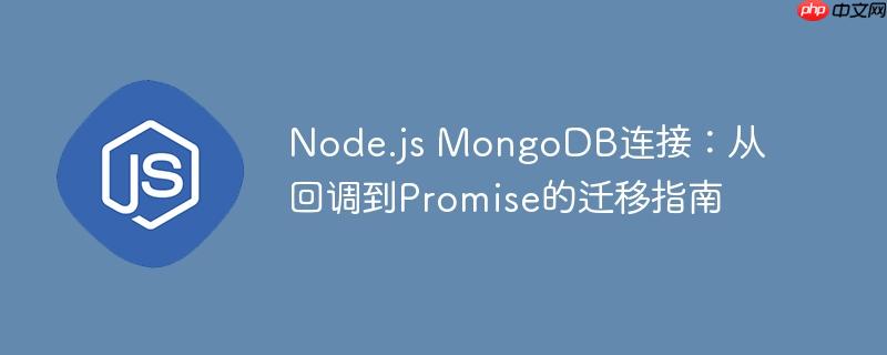 Node.js MongoDB连接：从回调到Promise的迁移指南
