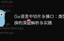 Go语言中切片与接口：类型转换的深层解析与实践