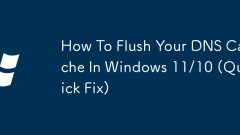 Cara Menghilangkan Cache DNS Anda di Windows 11/10 (Perbaikan Pantas)