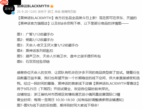 《黑神话：悟空》全新衍生品官宣开卖！首家线下店铺公开