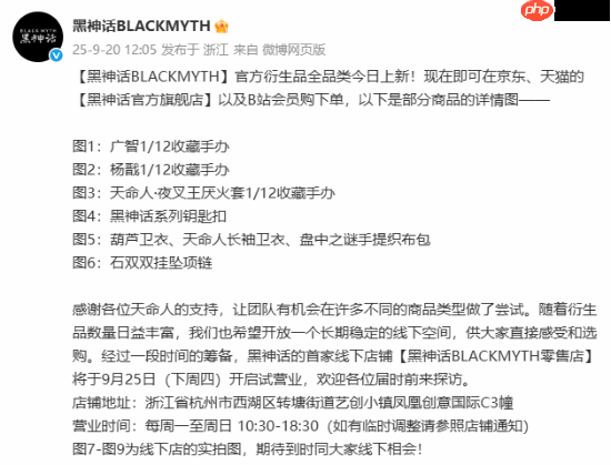 《黑神话：悟空》全新衍生品官宣开卖！首家线下店铺公开