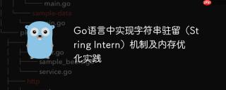 Go语言中实现字符串驻留（String Intern）机制及内存优化实践