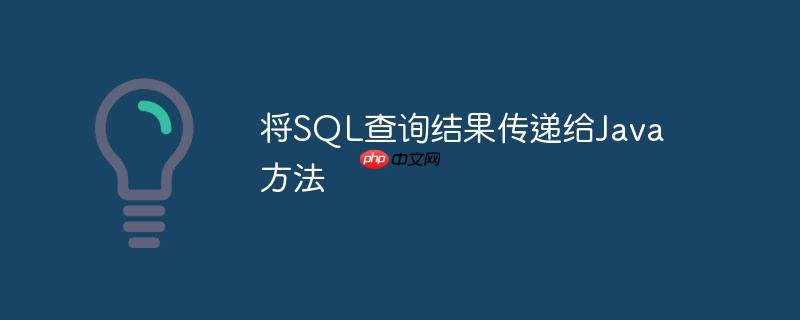 将SQL查询结果传递给Java方法