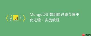 MongoDB 数组值过滤与扁平化处理：实战教程