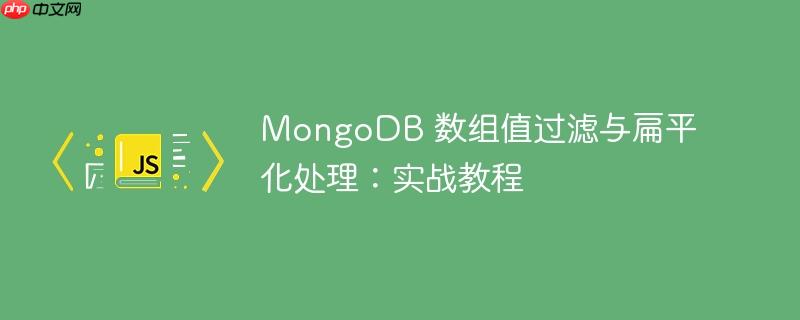 mongodb 数组值过滤与扁平化处理：实战教程