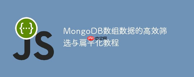 MongoDB数组数据的高效筛选与扁平化教程