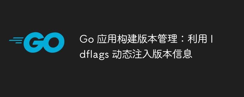 Go application build version management: Dynamically inject version information using ldflags