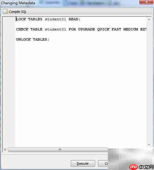 Maestro检查数据库表方法