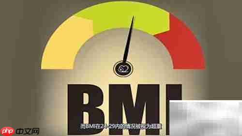 BMI计算公式是什么