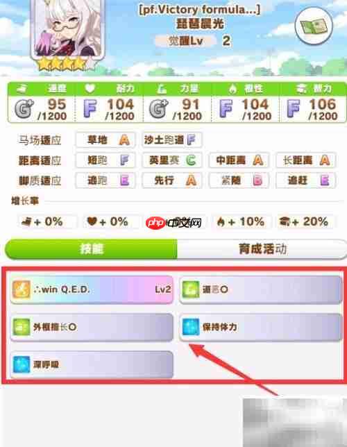 琵琶晨光培养全攻略