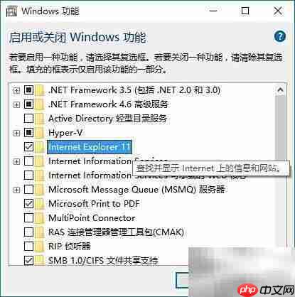 Win10如何彻底删除IE浏览器