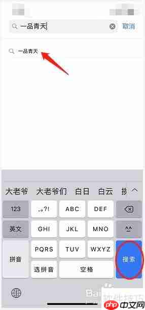 iPhone下载一品青天教程