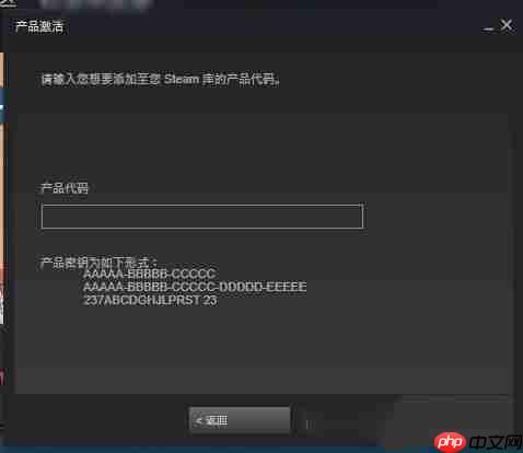 steam key怎么用?