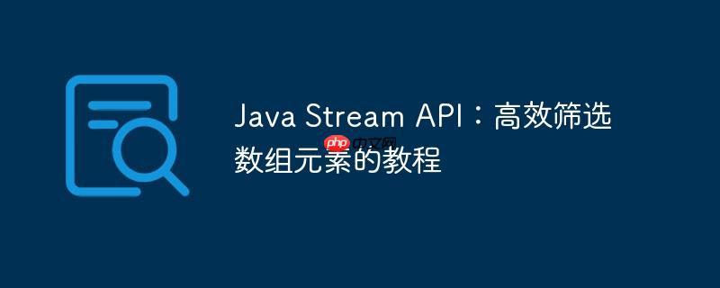 Java Stream API：高效筛选数组元素的教程