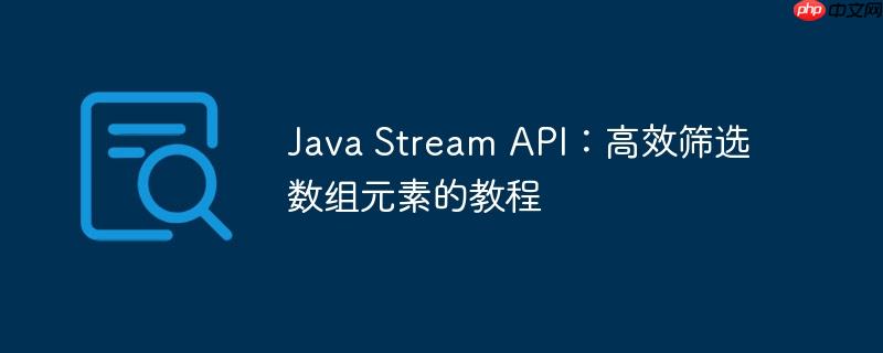 Java Stream API:高效筛选数组元素的教程