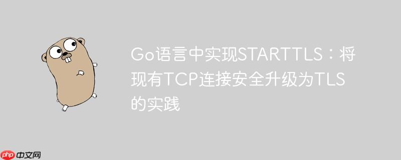 Go语言中实现STARTTLS:将现有TCP连接安全升级为TLS的实践