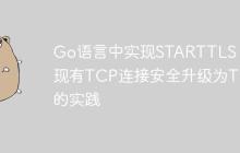 Go语言中实现STARTTLS：将现有TCP连接安全升级为TLS的实践