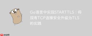 Go语言中实现STARTTLS：将现有TCP连接安全升级为TLS的实践