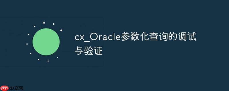 cx_Oracle参数化查询的调试与验证