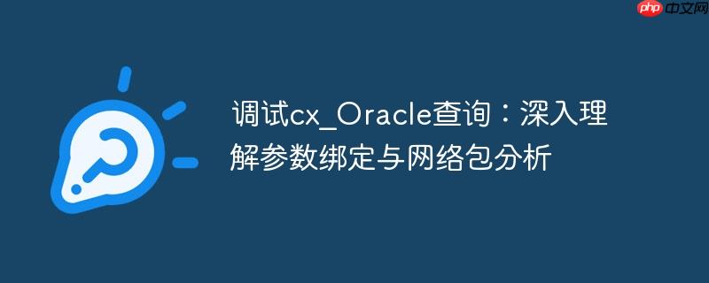 调试cx_Oracle查询：深入理解参数绑定与网络包分析