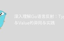 深入理解Go语言反射：Type与Value的异同与实践