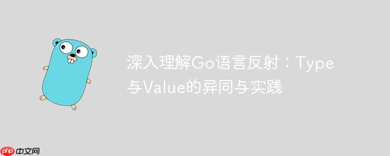 深入理解go语言反射：type与value的异同与实践