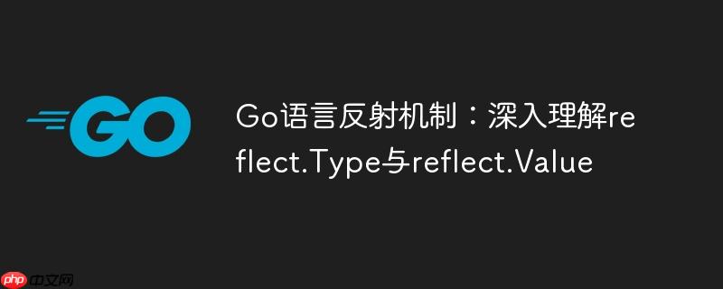 go语言反射机制：深入理解reflect.type与reflect.value