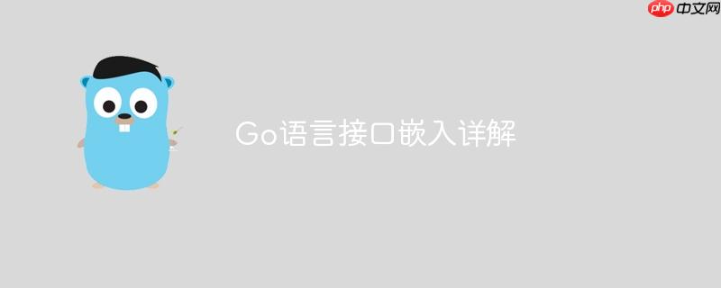 Go语言接口嵌入详解
