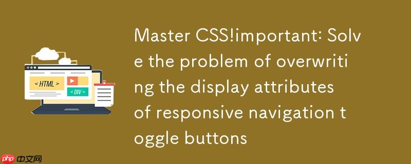 掌握CSS !important:解决响应式导航切换按钮的显示属性覆盖难题